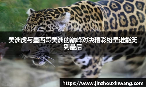 美洲虎与墨西哥美洲的巅峰对决精彩纷呈谁能笑到最后